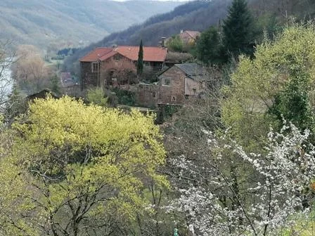 La Jourdanie printemps