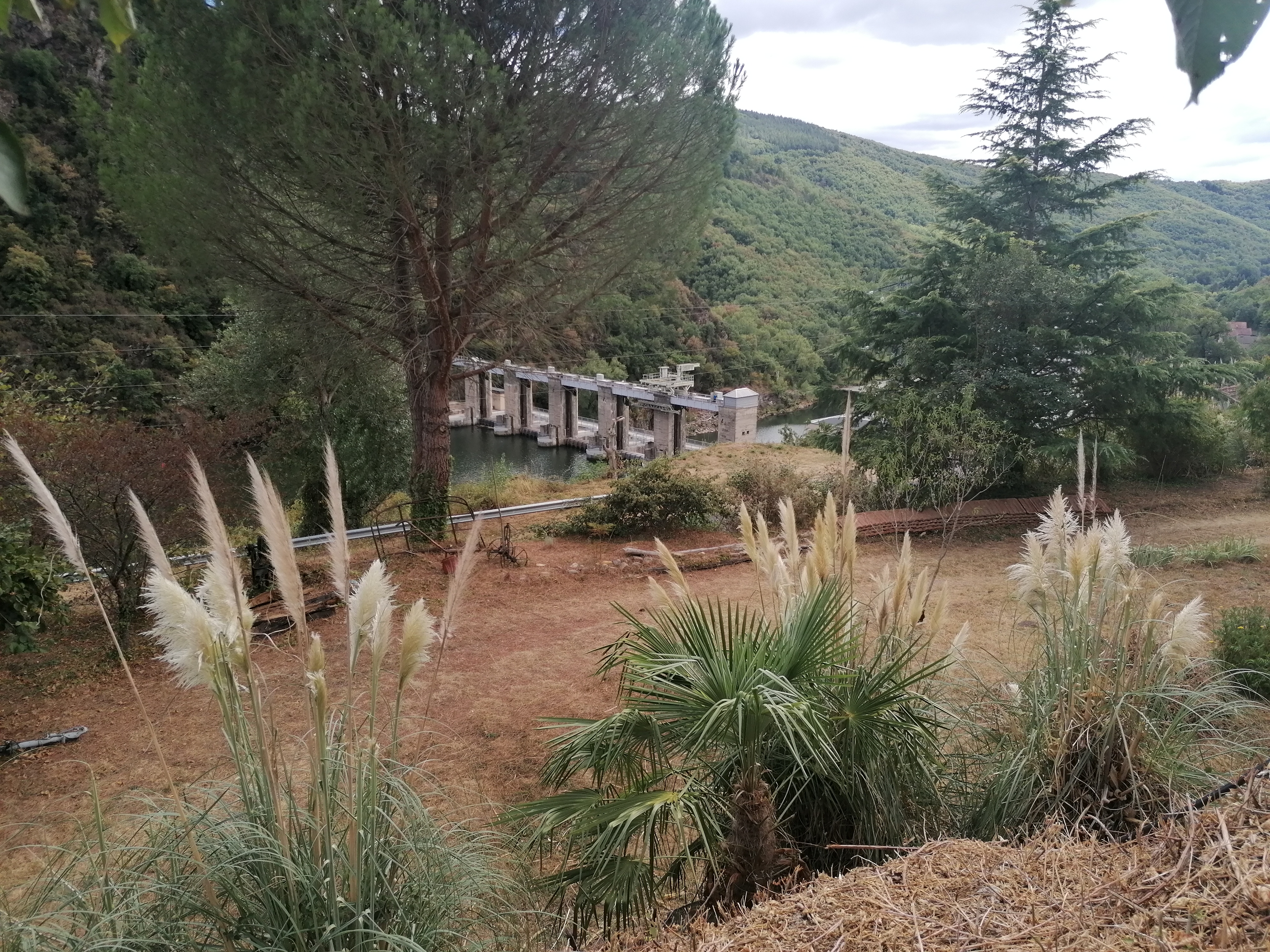jardin